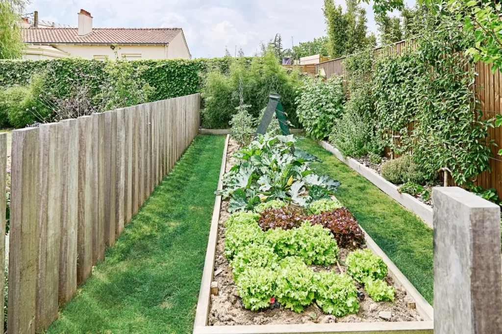 potager jardin pelouse