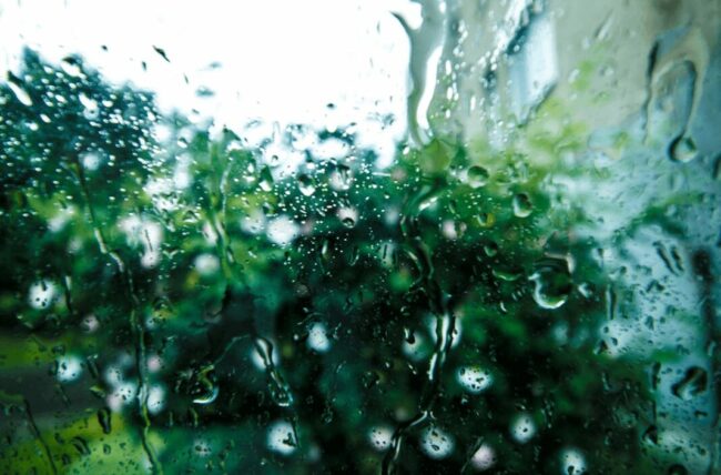 Évacuation des eaux de pluie dans le jardin : solutions et entretien après une année pluvieuse