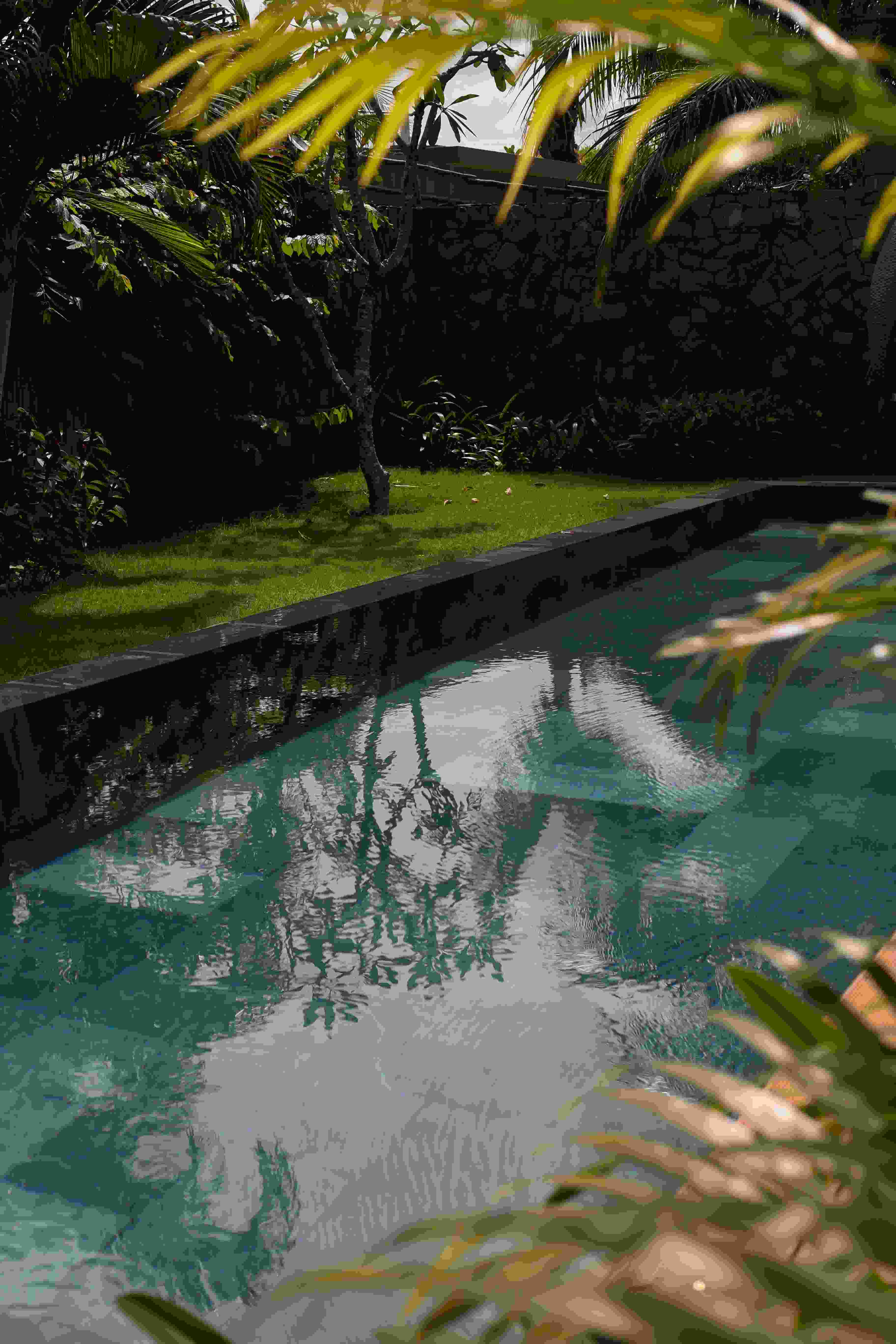 Petit jardin avec piscine et palmiers – Inspiration tropicale – paysages des 2 rivières